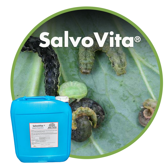 SalvoVita®